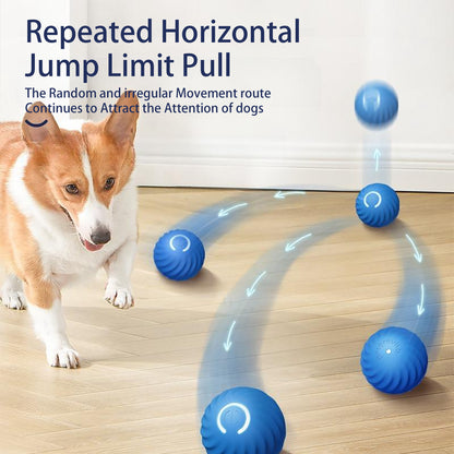 Smart Interactive Dog Ball