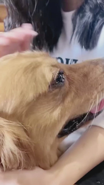 Smart Interactive Dog Ball