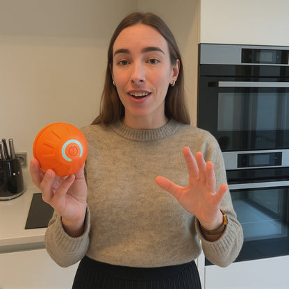 Smart Interactive Dog Ball